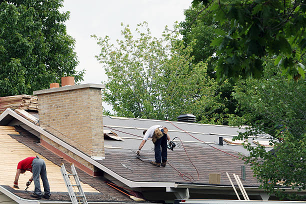 Best Metal Roofing Contractor  in Winterset, IA